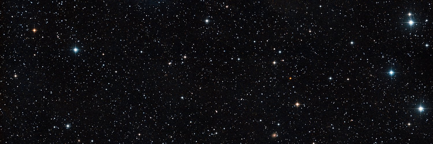lizzbethong's profile banner image