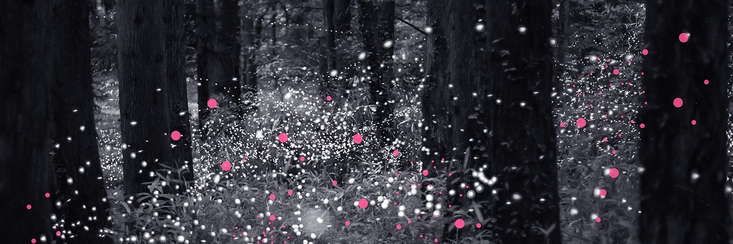 Decoded Advertising banner