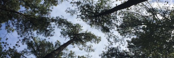 scitechkevin Profile Banner