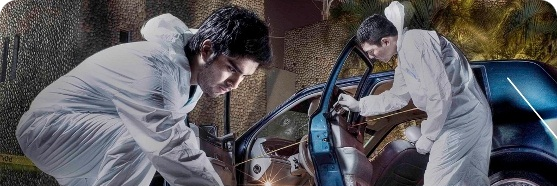 CRI_Aldimiroda's profile banner image