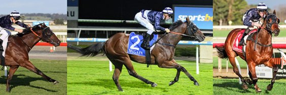 RacehorsesAustral🇦🇺🏇🏆🐎z👑🥂🎩🐴🥽🍾🥕⭐🏔⚡👡💍 banner