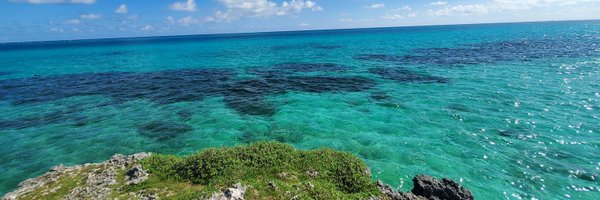 rabbitdance75 Profile Banner