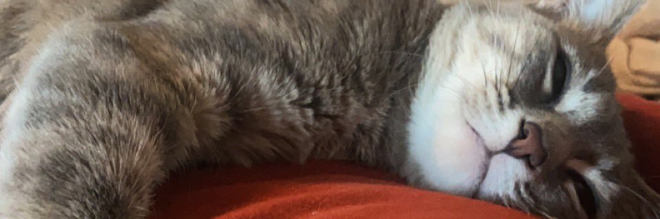 Alexwheelers's profile banner image
