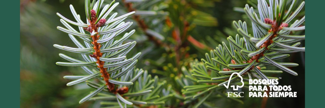 FSC España banner