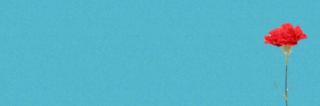 willowinspace's profile banner image