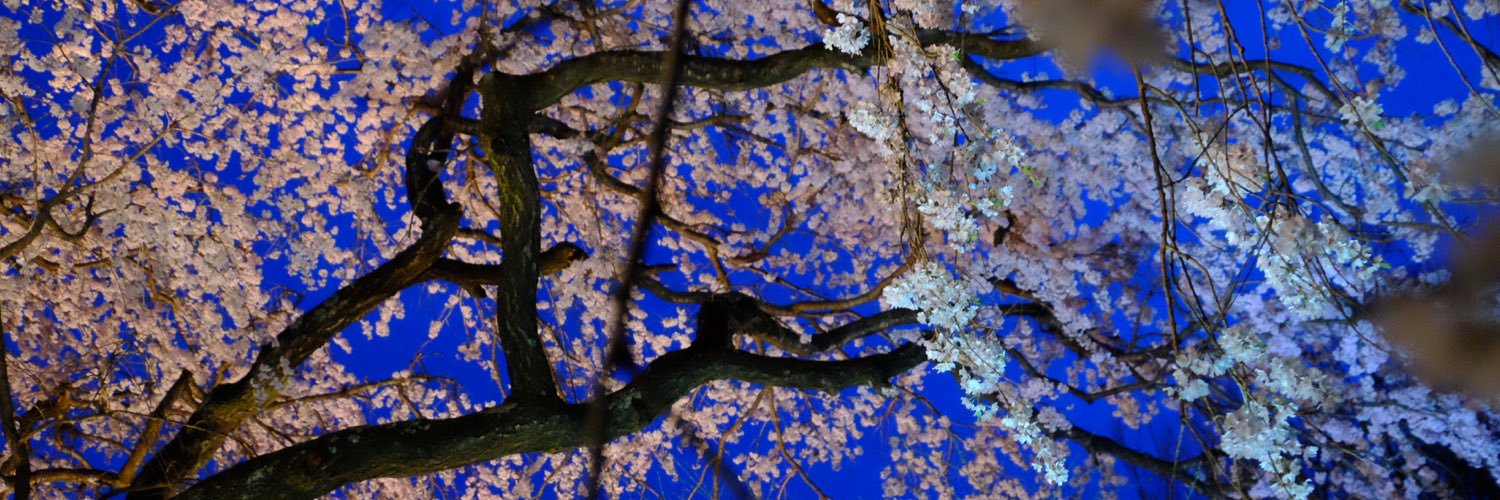 怒羅衛門ひよこメンバー banner
