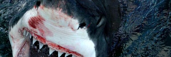 PaigeSux Profile Banner