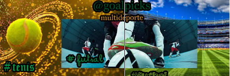 Tipster Profesional banner