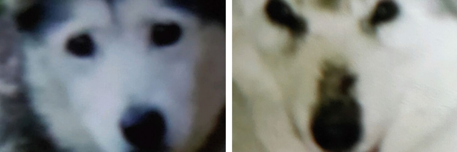 Cloudyaa1's profile banner image