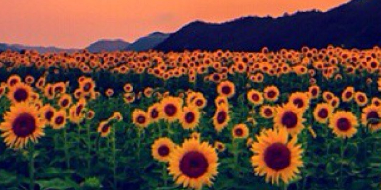 Lofry92's profile banner image