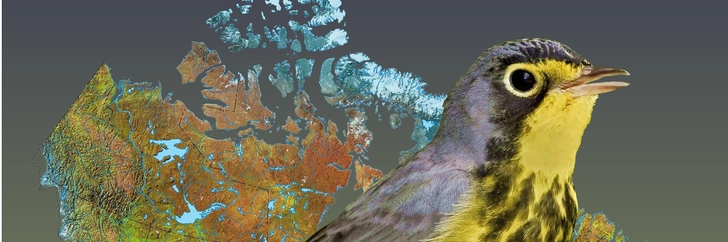 PriceStevenD's profile banner image
