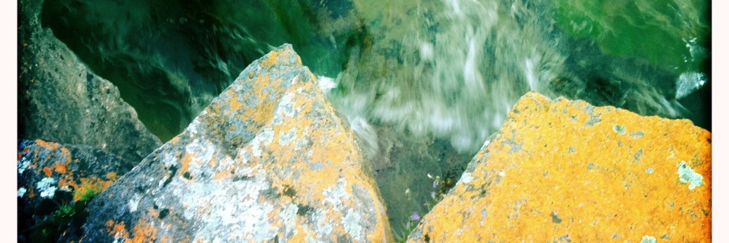 DThomasMPLS's profile banner image