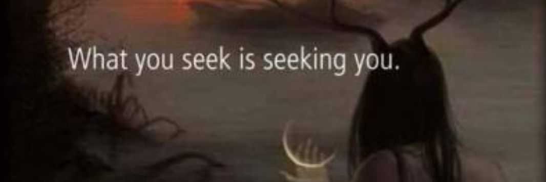 _look_it_up_'s profile banner image