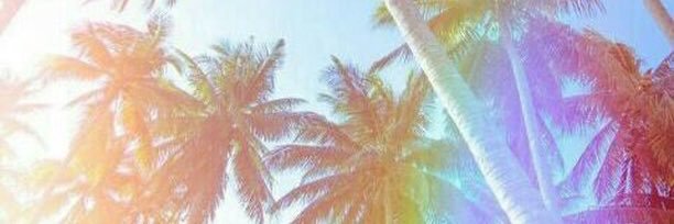 lexilowenberg's profile banner image