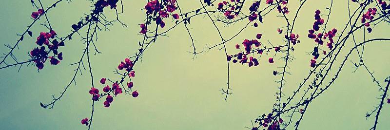 Xuan6793's profile banner image