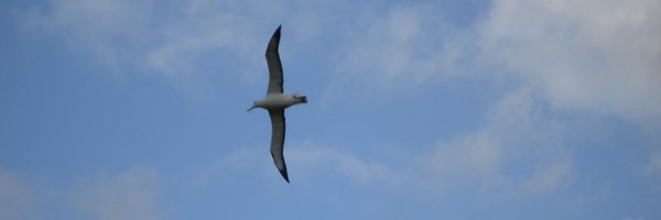 MQuennerstedt Profile Banner