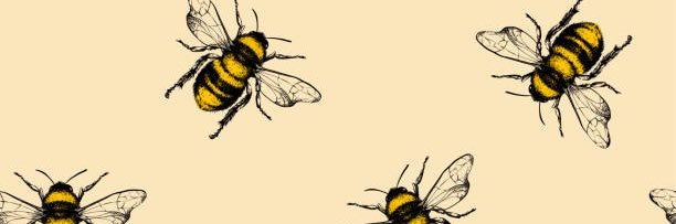 Clint banner