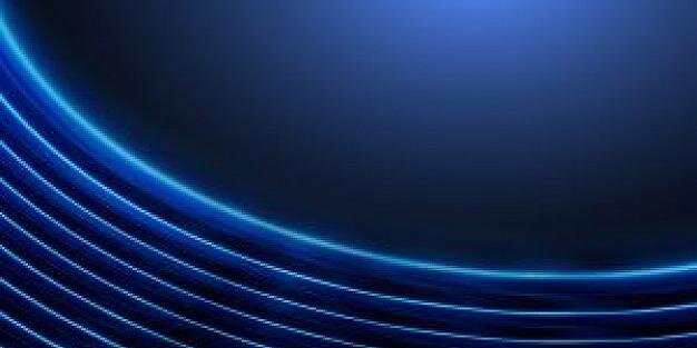 Paola Schwizer banner