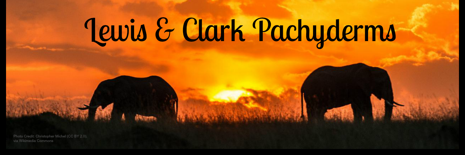 LCPachys's profile banner image