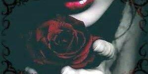 taba_rony's profile banner image