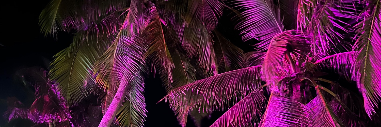 raphtherese's profile banner image