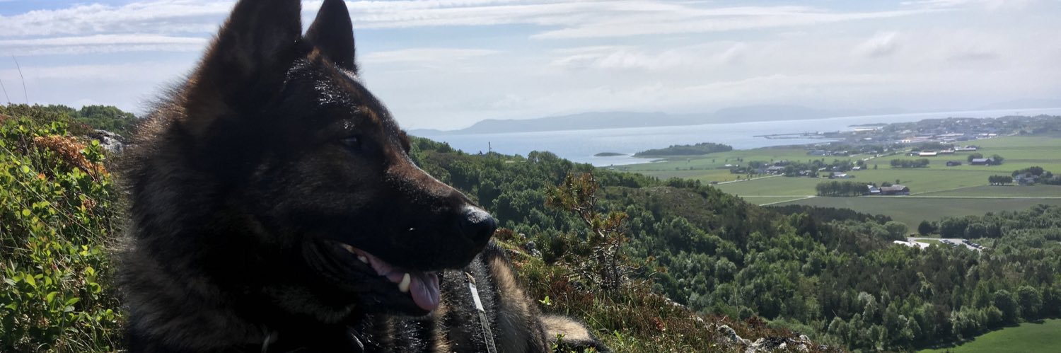 hhwestrum's profile banner image