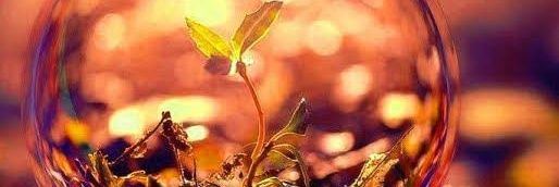 Janukrishh's profile banner image