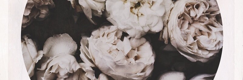 morganmhickman's profile banner image