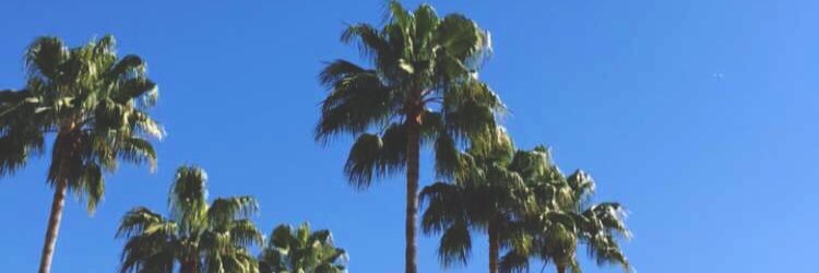 jakobbkole's profile banner image