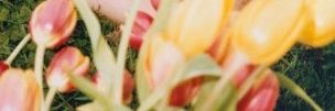 chinitajowi's profile banner image