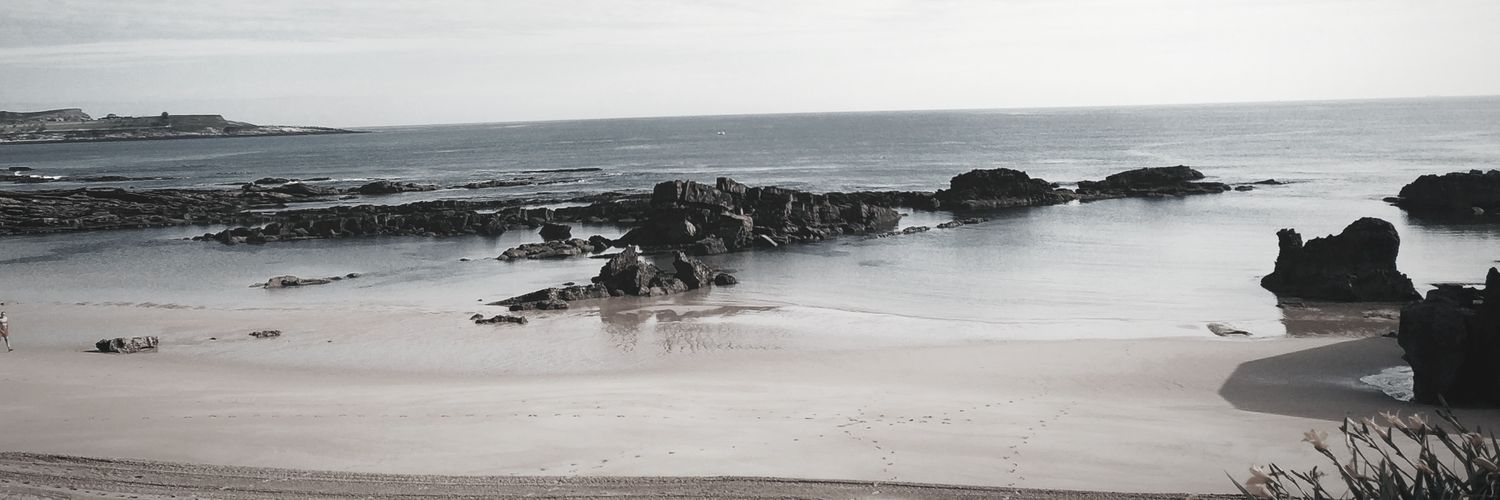 nestor_so's profile banner image