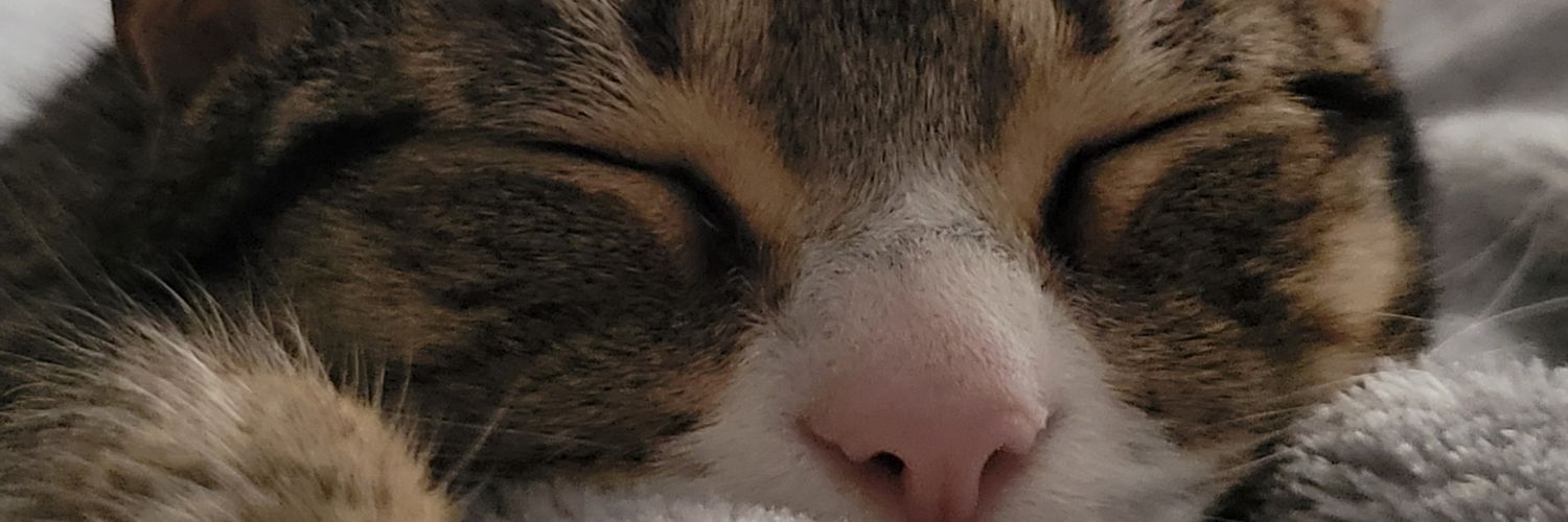 tucklued's profile banner image