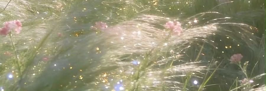 hapi4__'s profile banner image