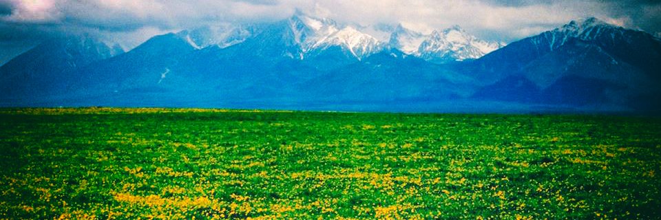 Tadeusz Murgrabia 🇵🇱🇺🇦 banner