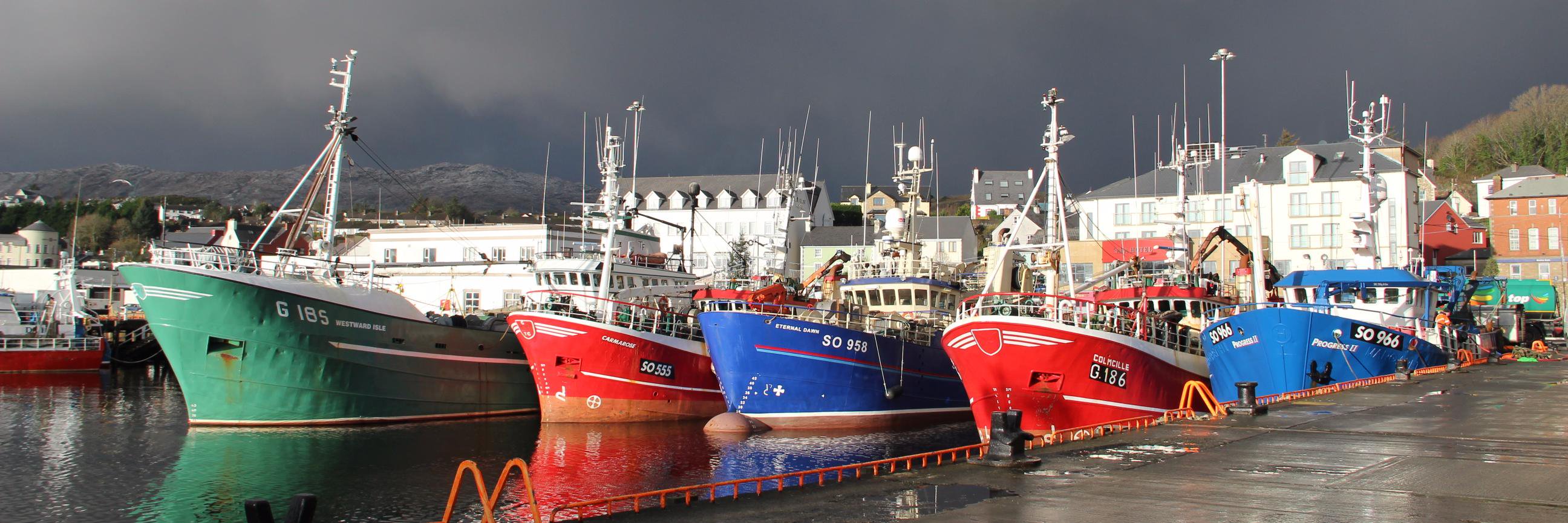 IntraFish Fisheries banner