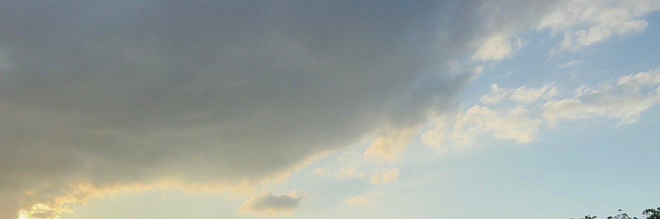 __is_mt__'s profile banner image
