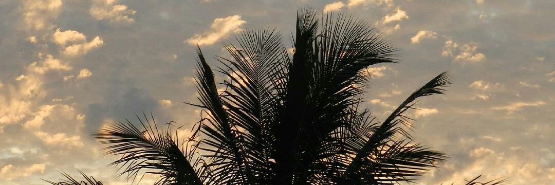 biexberzx's profile banner image
