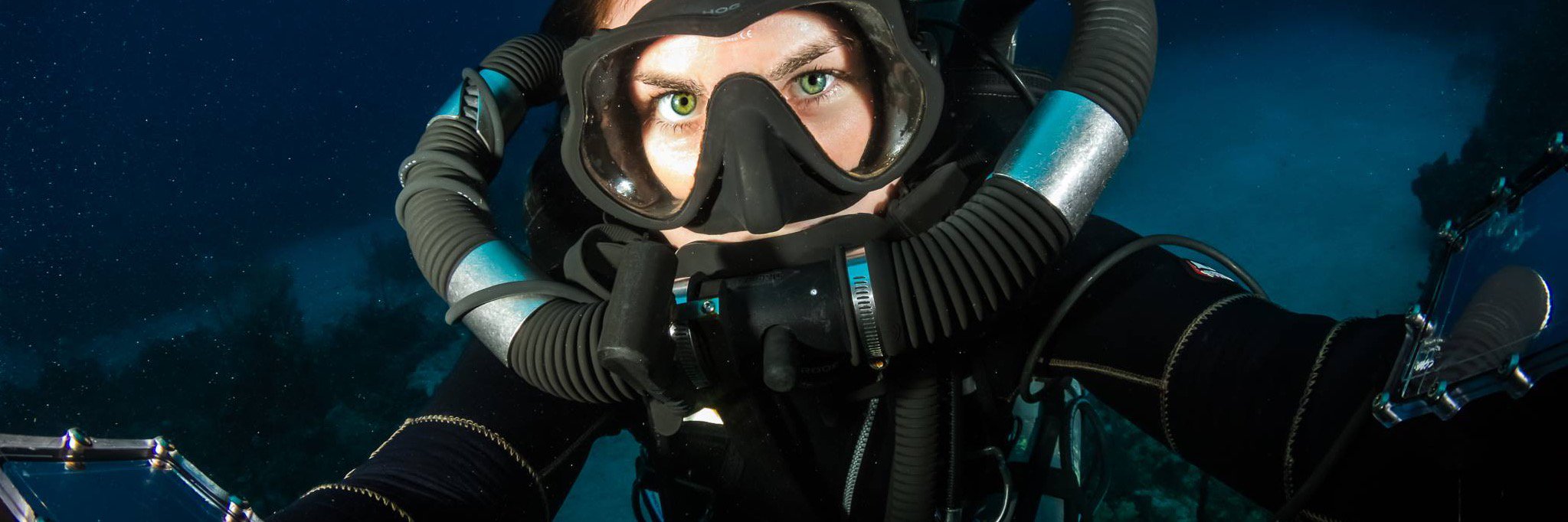 ashunderwater's profile banner image