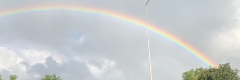 Mrs H 🌈 💙 🏳️‍🌈 banner