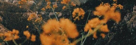 nicklambert_'s profile banner image