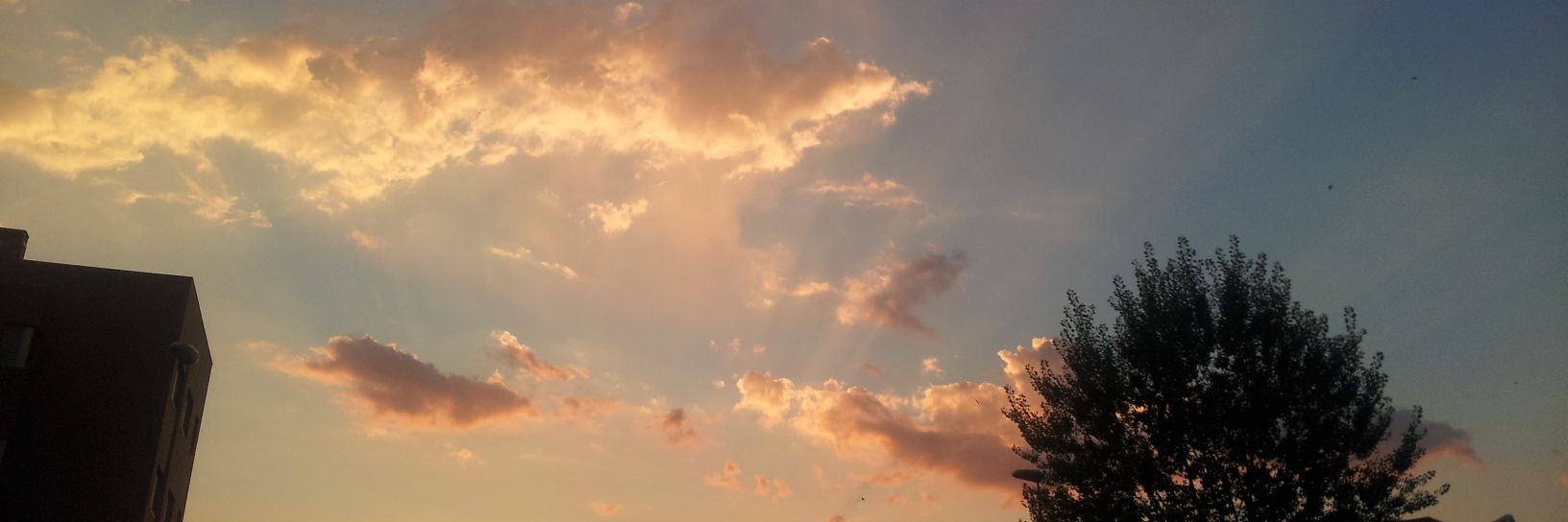 sanbal06's profile banner image