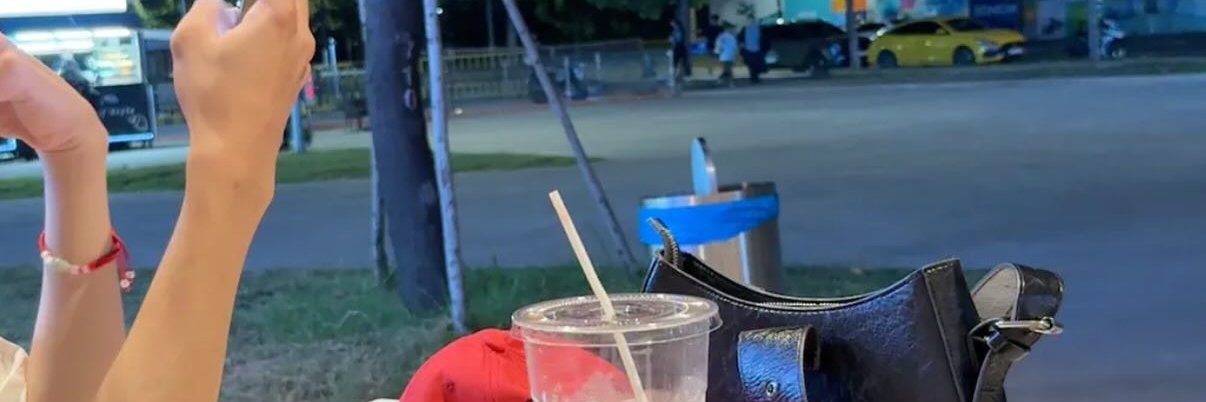 refik ćelebić banner