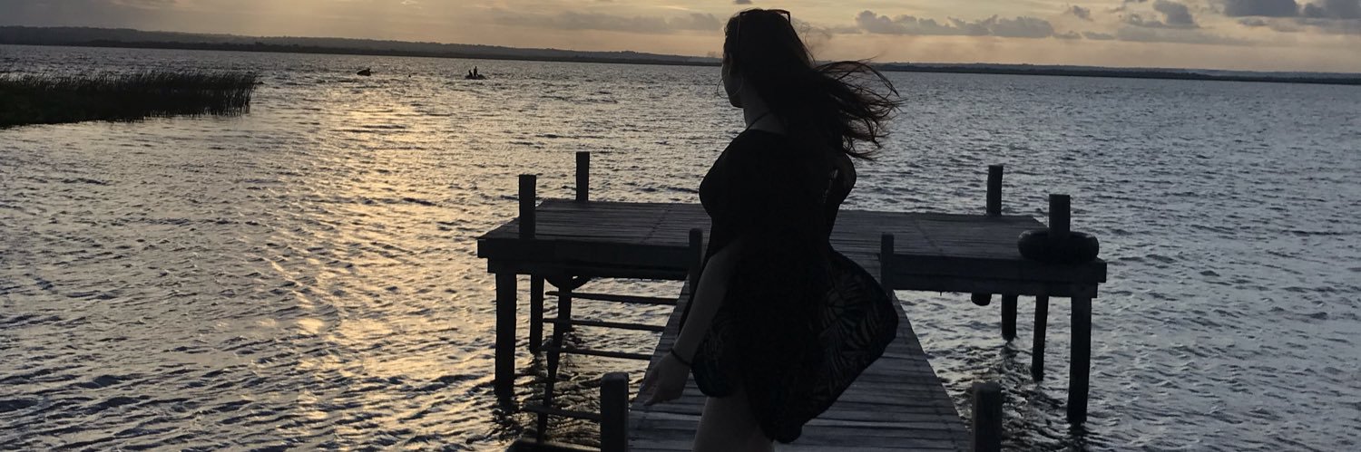 abigonz_'s profile banner image