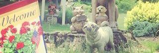 HSFpets's profile banner image