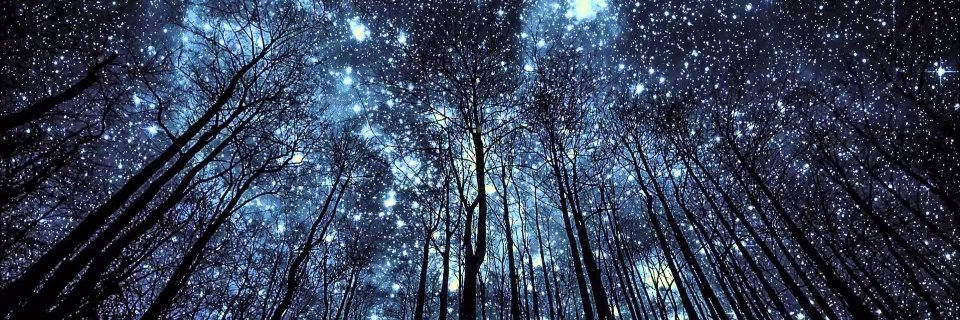 __heatherlee__'s profile banner image