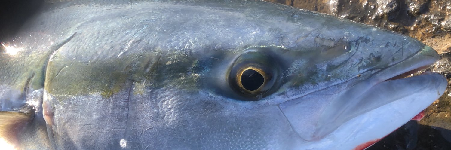 ユウタ(the ERECTION) banner