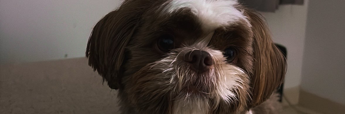 _natlopess's profile banner image