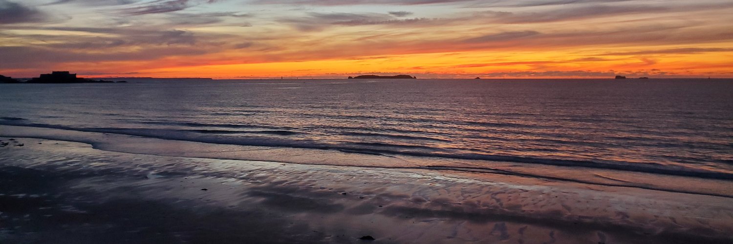 Christine Lamiable banner