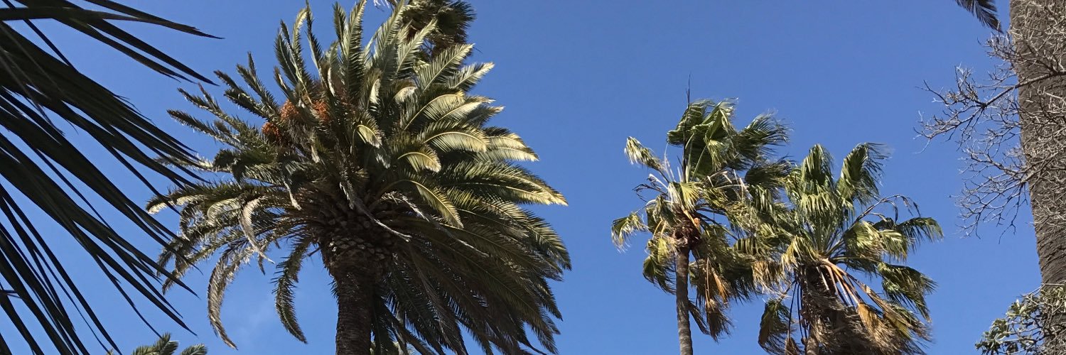 _mts_22's profile banner image