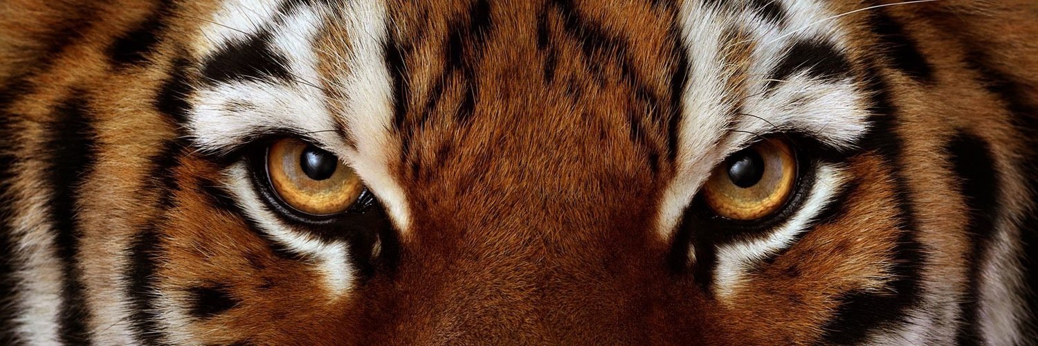 jarcon's profile banner image